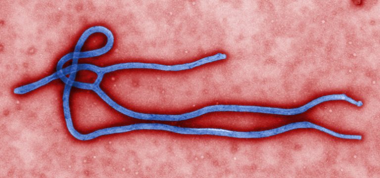 About Ebola - The Deadly Disease