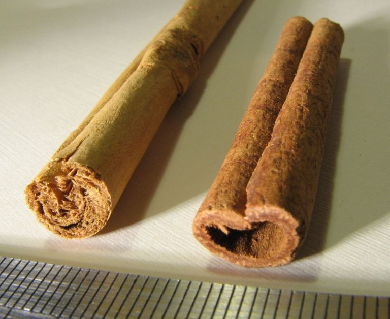 Health benefits by adding Cinnamon to your meal