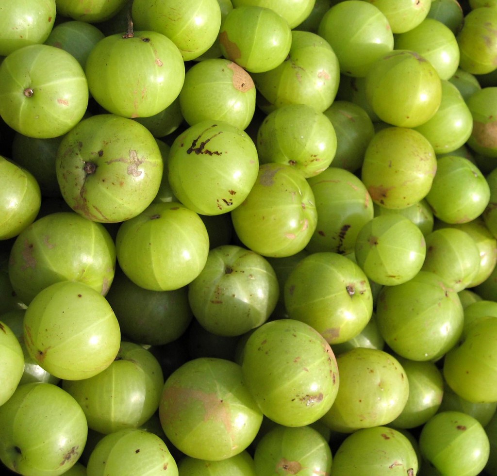 Usage of Amla for Hair Loss