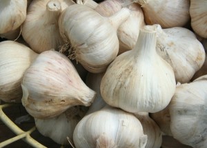 Top Five health benefits of garlic