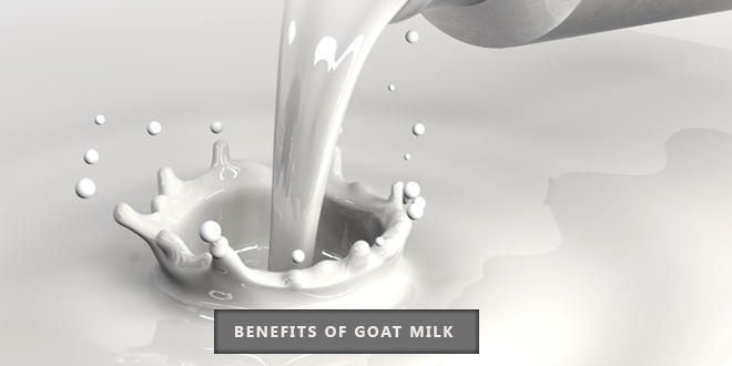 Benefits of goat milk