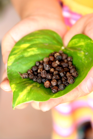 Health Benefits of Black pepper