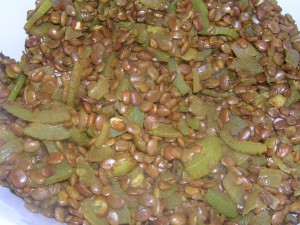 Health benefits of horse gram