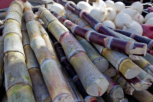 10 reasons should drink sugarcane juice in summer