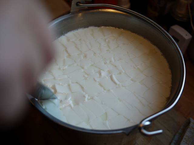 Eat curd or yoghurt for healthy skin and hair