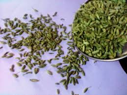 images 32 - 9 health reasons to have saunf or fennel seeds