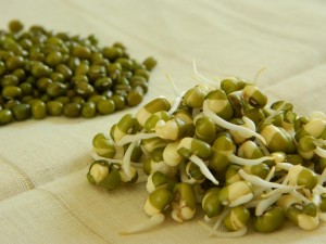 mung bean sprouts 300x225 - Start the day by eating any of these three healthy Indian dishes
