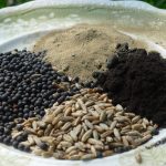 Health benefits of rye seeds