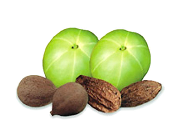 Prevent hair fall with triphala