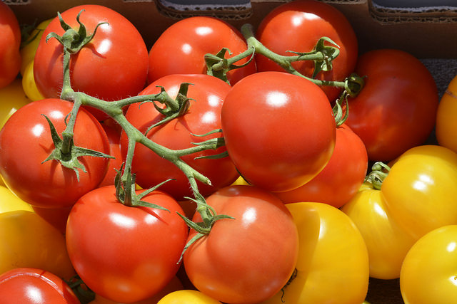 Tomatoes – Natural remedy for good vision