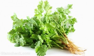 Healthy summer drinks-Coriander Juice