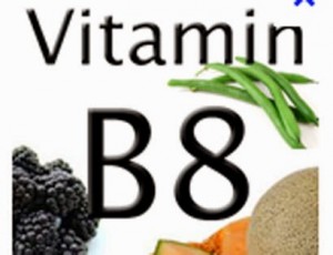 health benefits and sources of vitamin B8