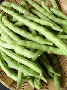 10 amazing health benefits of French beans