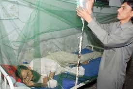 Dengue fever- Causes symptoms and treatment