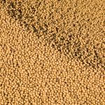 top 8 health benefits of soybean oil