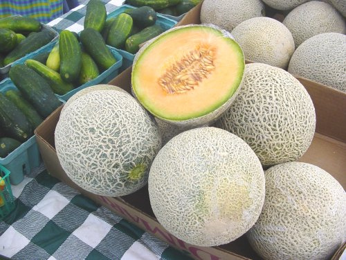 11 amazing Health benefits of honeymelon