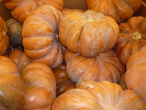 health benefits of pumpkin