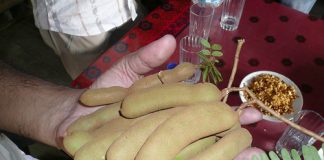 How To Use Tamarind For Skin Whitening?