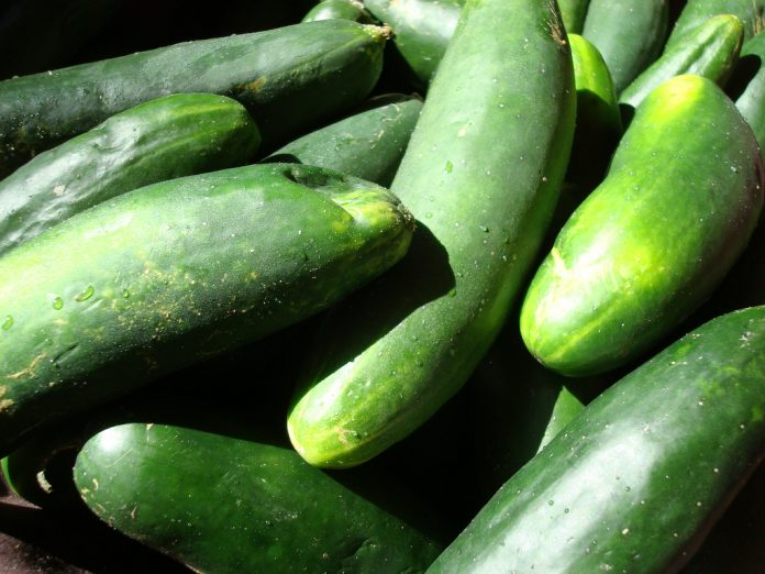 health benefits of cucumber