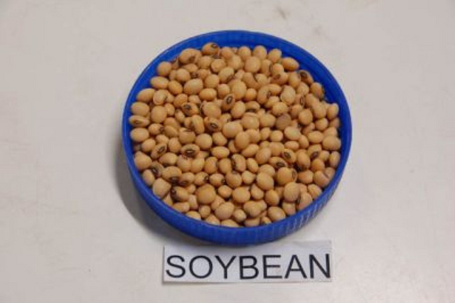 Top 8 Health Benefits of Soybean Oil