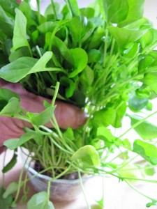 health benefits of watercress