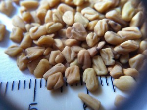 Ways To Control Dandruff & Hair Fall With Fenugreek Seeds