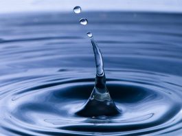 Is it okay to drink water immediately after eating fruits?