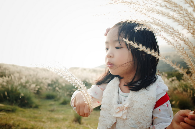 Can food make your child smarter and more intelligent?