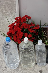 Is It Safe To Drink Water From Plastic Bottles?