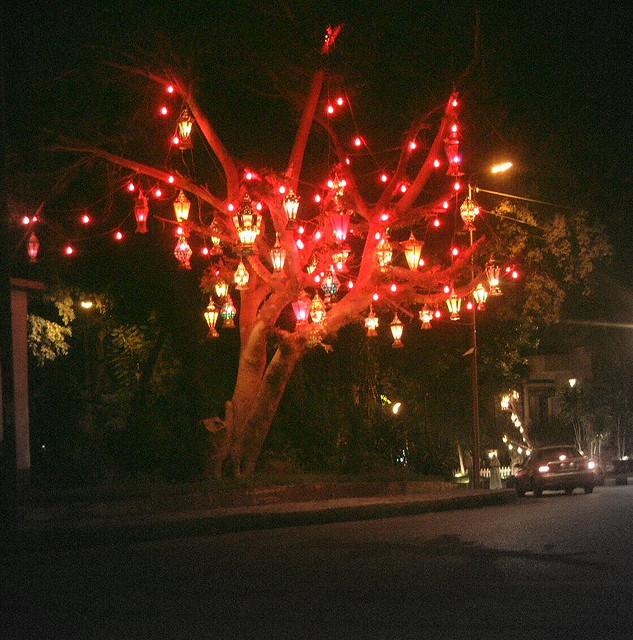 Tips To Freshen Breath During Ramadan