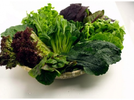 6 Reasons To Avoid Leafy Vegetables In Monsoon