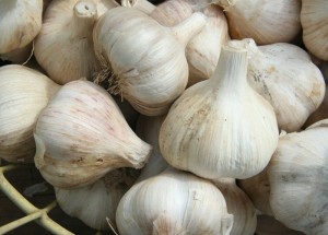 garlicbasket 300x215 - Garlic Recipes To Treat Cold during Monsoon