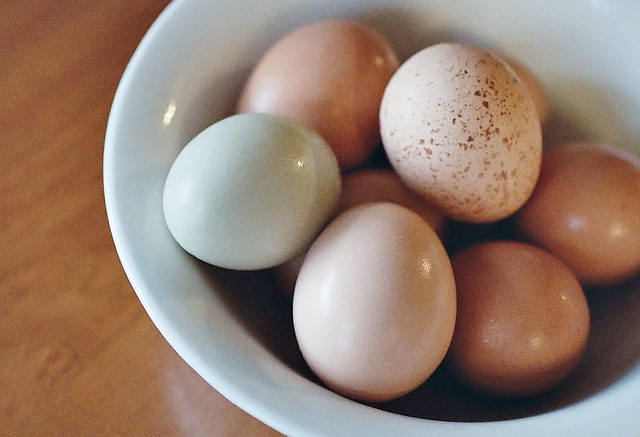 Egg products for beautiful skin