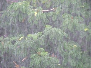 Unhealthy monsoon mistakes to avoid