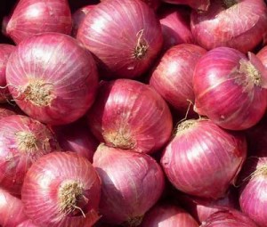 Onions can dogs eat them 300x255 - Weird Benefits Of Onions