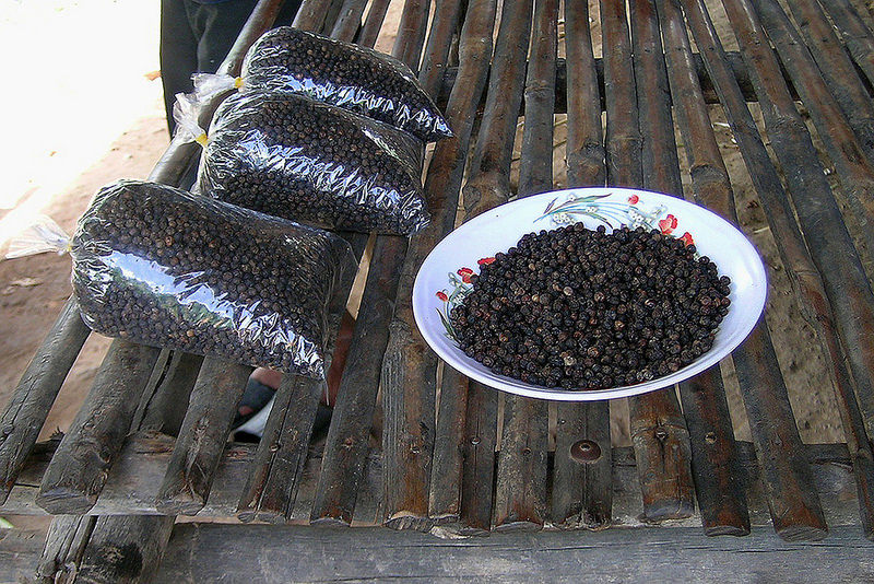 where does black pepper come from