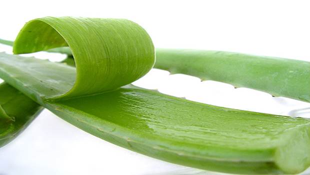 remedies for itchy scalp aloe vera - Home remedies to reduce an itchy scalp