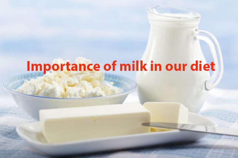 Importance of milk in our diet