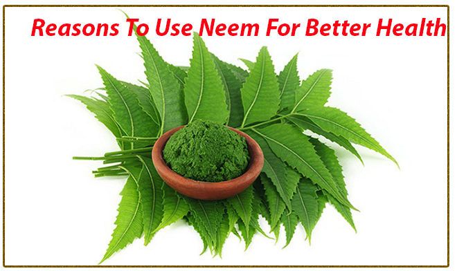 Reasons To Use Neem For Better Health