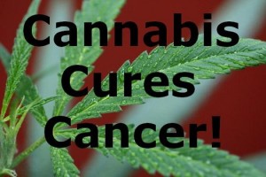 How Cannabis Can Kill Cancer