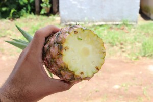Strange reason Pineapple Cuts Your Tongue