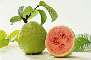 Benefits of guava