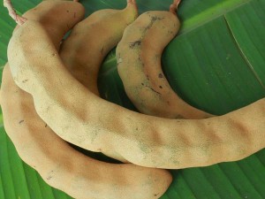 Healing Powers Of Tamarind