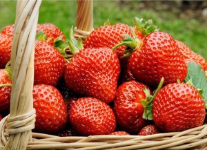 Five health benefits of strawberries