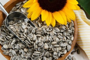 Unique Health Benefits Of Sunflower Seeds