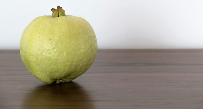 Health Benefits of Guava During Pregnancy
