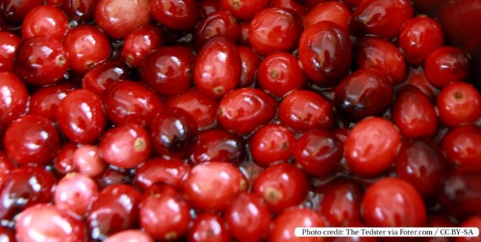 The Health Benefits of Cranberry Juice