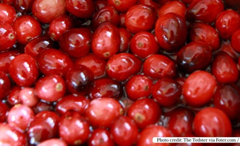 The Health Benefits of Cranberry Juice