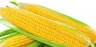 Benefits Of Sweet Corn For Skin And Hair