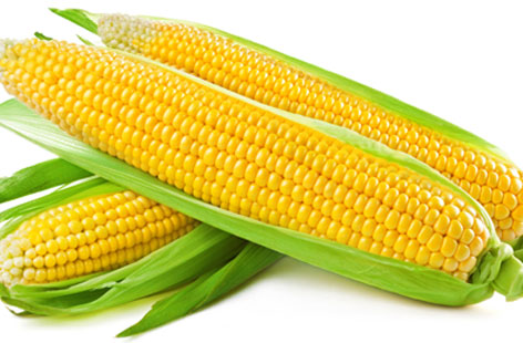 Benefits Of Sweet Corn For Skin And Hair